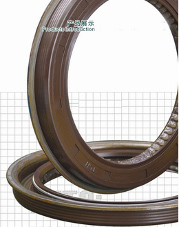 特殊工況曲軸后油封總成2